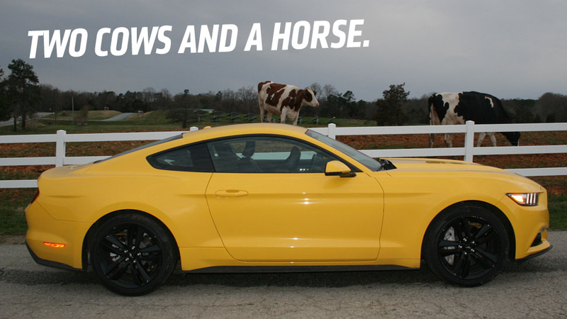 Illustration for article titled 2015 Ford Mustang EcoBoost: The Jalopnik Review